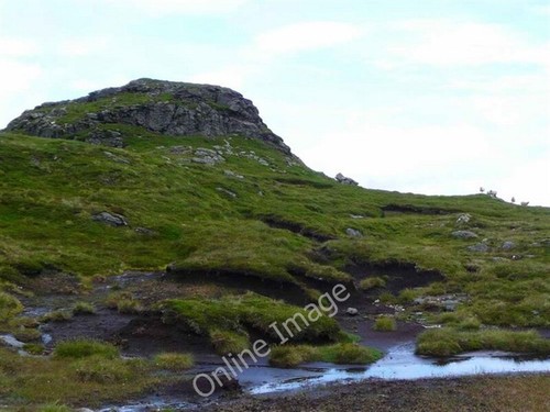 Foto 6x4 schafe - schafe, nahe
